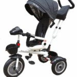 Triciclo BG480
